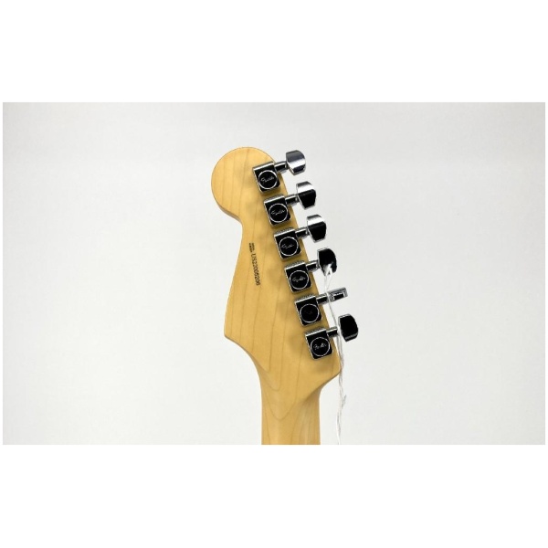 Fender American Professional II Stratocaster Maple Fingerboard Sunburst Ser#:US22005206