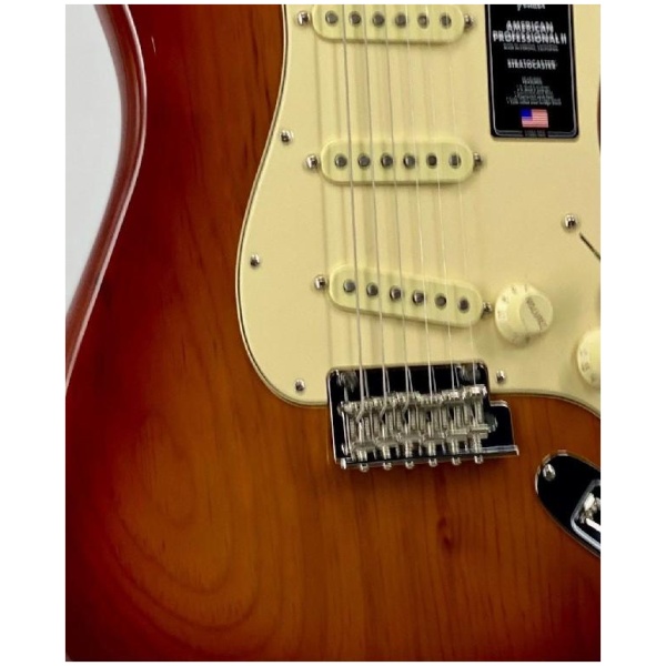 Fender American Professional II Stratocaster Sienna Sunburst Ser#:US210088299