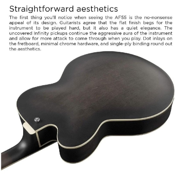 Ibanez AF55TKF AF Artcore 6 String Electric Guitar - Transparent Black Flat