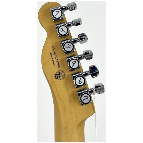Fender Player Plus Nashville Telecaster Butterscotch Blonde w/ Gig Bag Ser# MX21131586