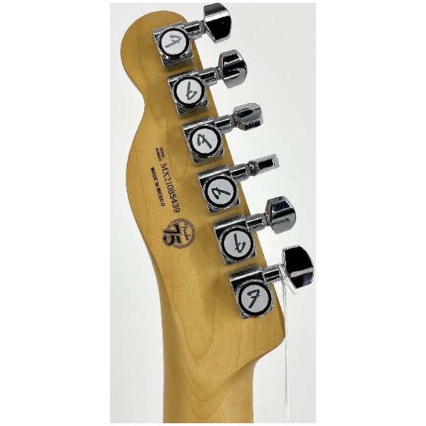 Fender Player Plus Nashville Telecaster Opal Spark w/ Gig Bag Ser# MX21085439