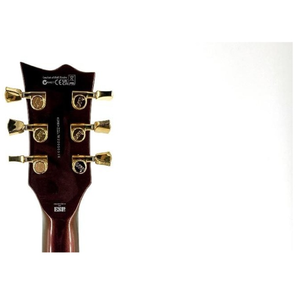 Esp Ltd EC1000 Electric Guitar with Fishman Fluence Pickups - Gold Andromeda Ser# W2205051