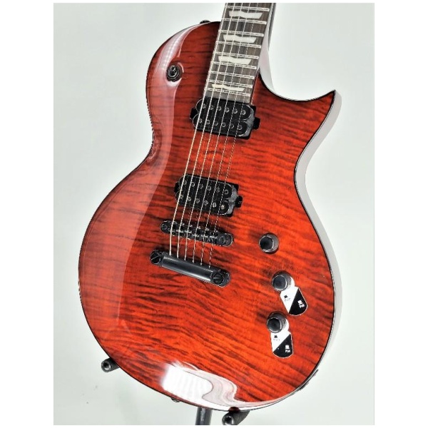 Esp Ltd EC1001 Flamed Top Electric Guitar with Fishman Fluence Pickups - Tiger Eye Ser# IW