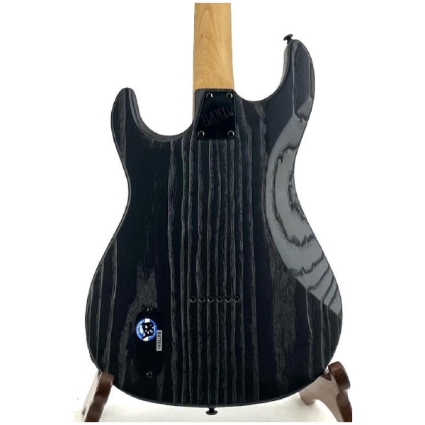 Esp Ltd SN1000 Electric Guitar - Fire Blast Ser# W23040020