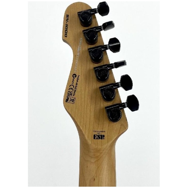 Esp Ltd SN1000 Electric Guitar - Fire Blast Ser# W23040020