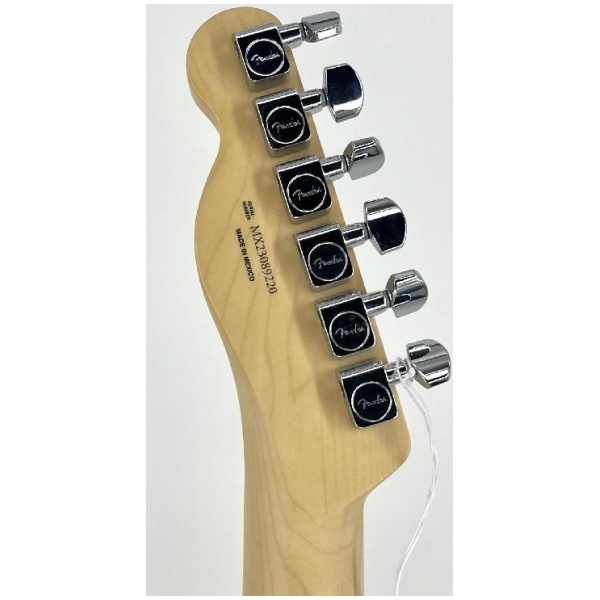 Fender Players Series Telecaster Maple Neck Butterscotch Blonde Serial#: MX23089220