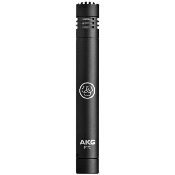 AKG P170 Professional Instrumental Condenser Microphone