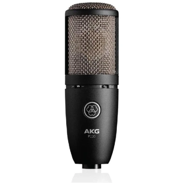 AKG P220 Perception-120 one inch true condenser large diaphragm capsule