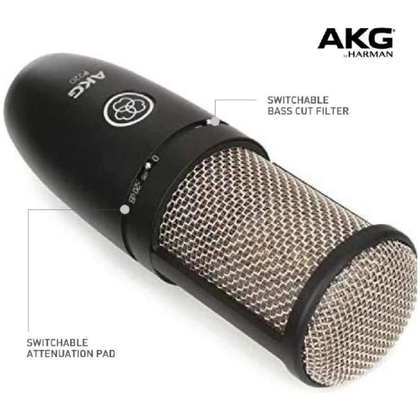 AKG P220 Perception-120 one inch true condenser large diaphragm capsule