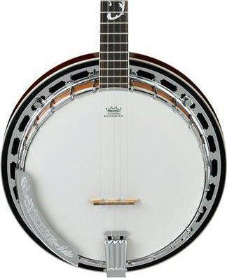 Ibanez B200 5 String Banjo – World Music Supply