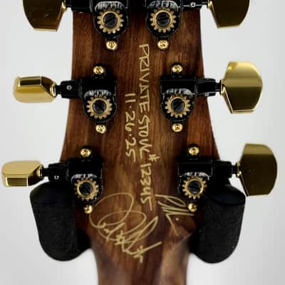 Paul Reed Smith PRS Private Stock Custom 24, Spalted Maple-Top, Hormigo Fretboard Ser# 12345 - Image 4