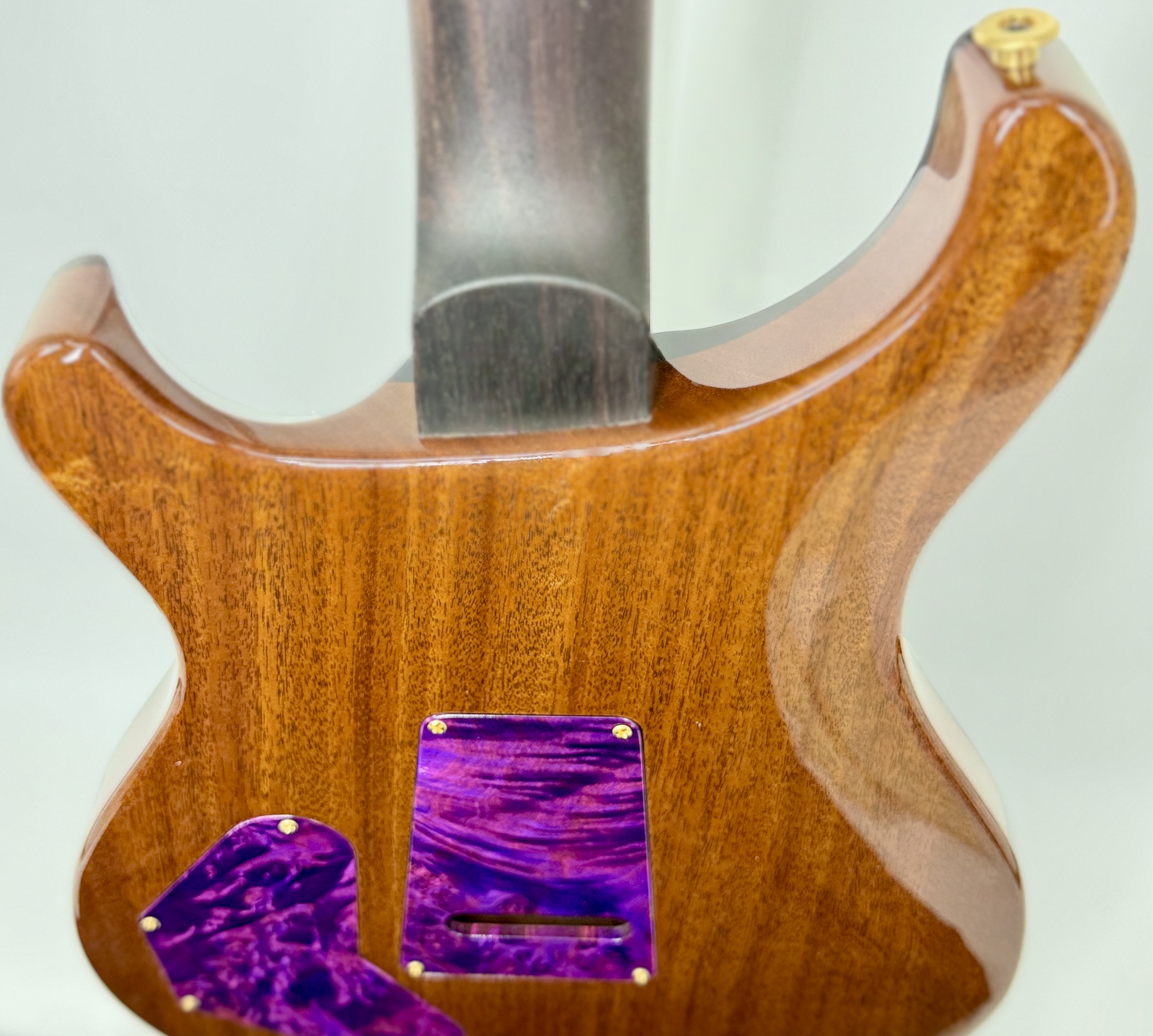 PRS Private Stock DGT, Maple Burl-Top, East Indian Rosewood Fretboard Purple Glow Ser# 12346 - Image 19