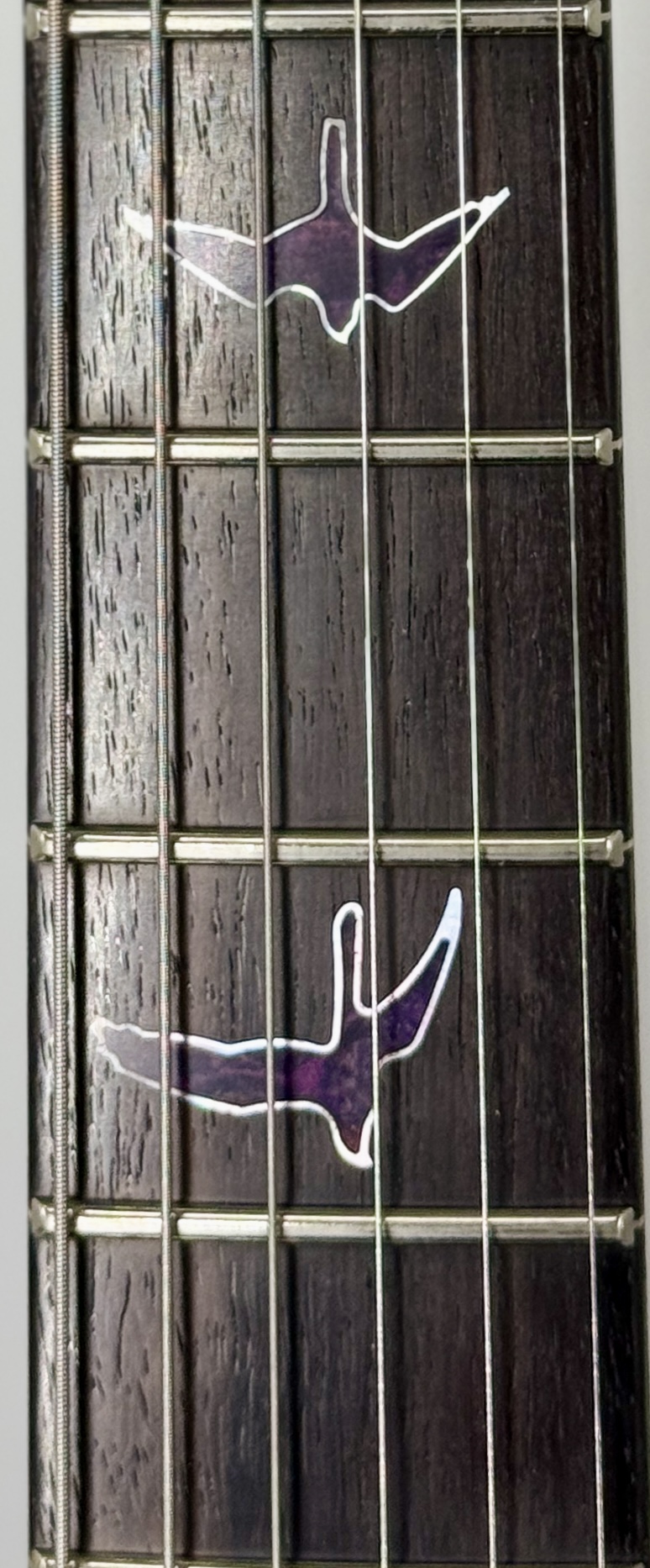 PRS Private Stock DGT, Maple Burl-Top, East Indian Rosewood Fretboard Purple Glow Ser# 12346 - Image 24